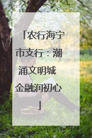 农行海宁市支行：潮涌文明城 金融润初心