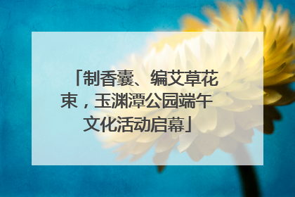 制香囊、编艾草花束，玉渊潭公园端午文化活动启幕