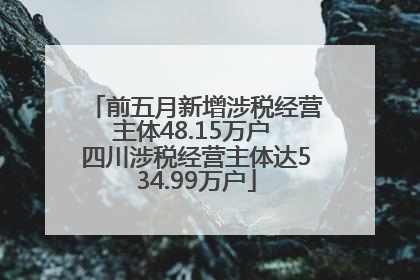 前五月新增涉税经营主体48.15万户 四川涉税经营主体达534.99万户
