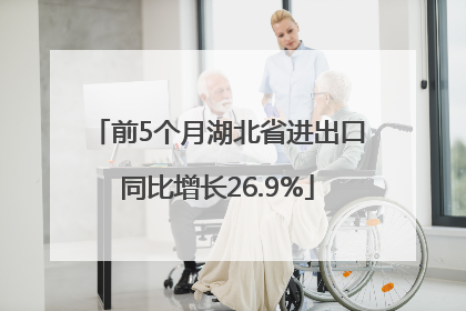 前5个月湖北省进出口同比增长26.9%
