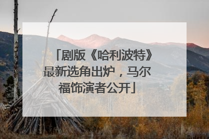 剧版《哈利波特》最新选角出炉，马尔福饰演者公开