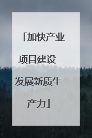 加快产业项目建设 发展新质生产力