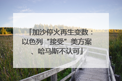 加沙停火再生变数：以色列“接受”美方案、哈马斯不认可