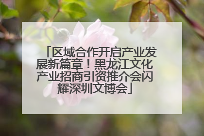 区域合作开启产业发展新篇章！黑龙江文化产业招商引资推介会闪耀深圳文博会