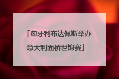 匈牙利布达佩斯举办意大利面桥世锦赛