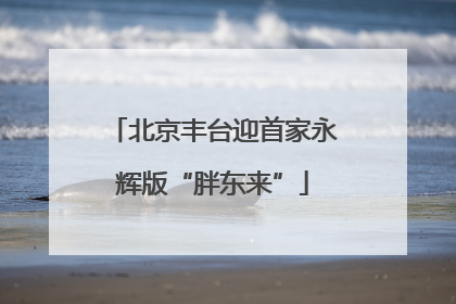 北京丰台迎首家永辉版“胖东来”
