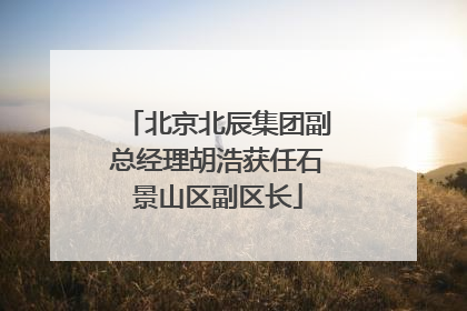 北京北辰集团副总经理胡浩获任石景山区副区长