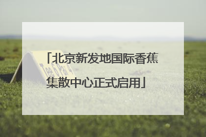 北京新发地国际香蕉集散中心正式启用