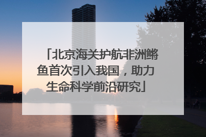 北京海关护航非洲鳉鱼首次引入我国，助力生命科学前沿研究
