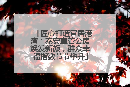 匠心打造宜居港湾：泰安直管公房焕发新颜，群众幸福指数节节攀升