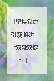 坚持党建引领 推进“双融双促”