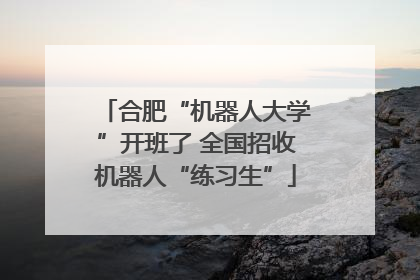 合肥“机器人大学”开班了 全国招收机器人“练习生”