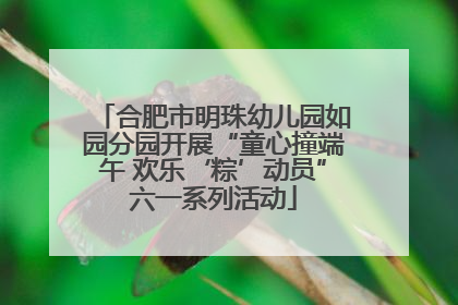 合肥市明珠幼儿园如园分园开展“童心撞端午 欢乐‘粽’动员”六一系列活动