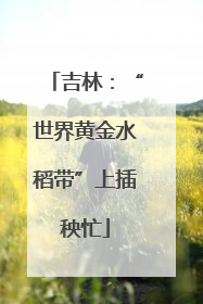 吉林：“世界黄金水稻带”上插秧忙