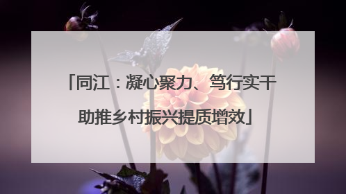 同江：凝心聚力、笃行实干 助推乡村振兴提质增效