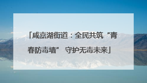 咸嘉湖街道：全民共筑“青春防毒墙” 守护无毒未来