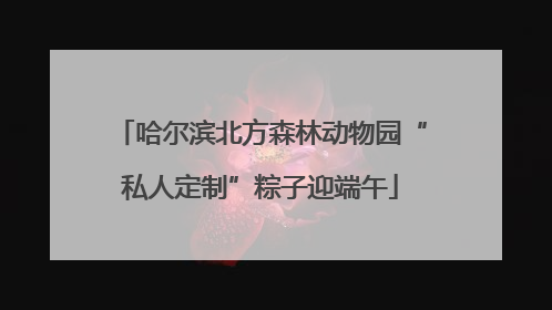 哈尔滨北方森林动物园“私人定制”粽子迎端午