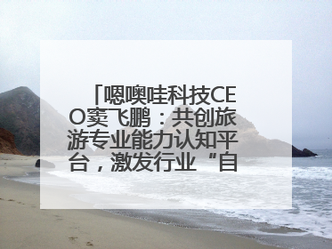 嗯噢哇科技CEO窦飞鹏：共创旅游专业能力认知平台，激发行业“自生长”力量