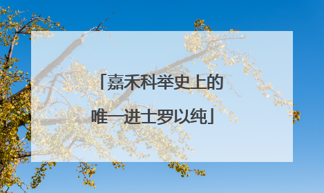 嘉禾科举史上的唯一进士罗以纯