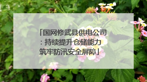 国网修武县供电公司：持续提升仓储能力 筑牢防汛安全屏障