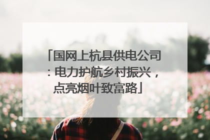 国网上杭县供电公司：电力护航乡村振兴，点亮烟叶致富路