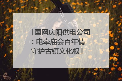 国网庆阳供电公司：电牵庙会百年情 守护古镇文化根