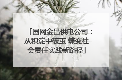 国网金昌供电公司：从积淀中破茧 蝶变社会责任实践新路径
