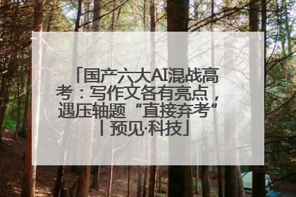 国产六大AI混战高考：写作文各有亮点，遇压轴题“直接弃考”丨预见·科技