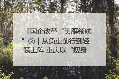 国企改革“头雁领航”③｜从负重前行到轻装上阵 重庆以“瘦身”谋“健体”