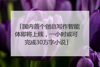国内首个创意写作智能体即将上线，一小时或可完成30万字小说
