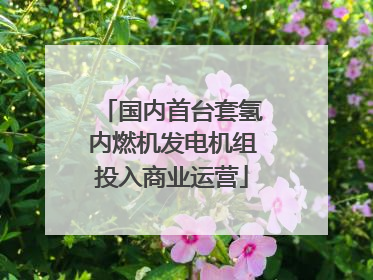 国内首台套氢内燃机发电机组投入商业运营