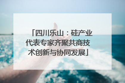 四川乐山：硅产业代表专家齐聚共商技术创新与协同发展