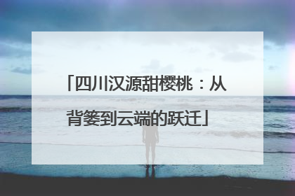 四川汉源甜樱桃：从背篓到云端的跃迁