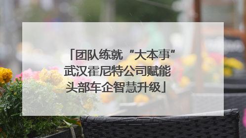 团队练就“大本事” 武汉霍尼特公司赋能头部车企智慧升级