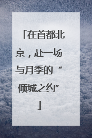 在首都北京，赴一场与月季的“倾城之约”
