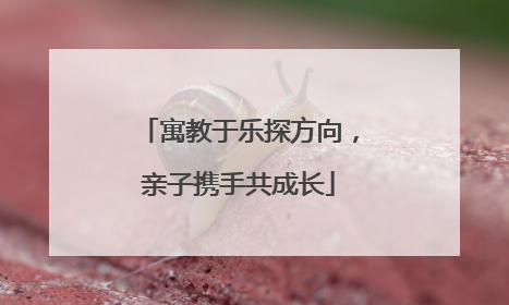 寓教于乐探方向，亲子携手共成长