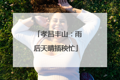 孝昌丰山：雨后天晴插秧忙