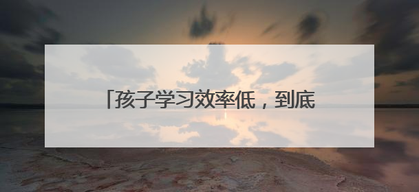 孩子学习效率低，到底怎么破？｜校长来了
