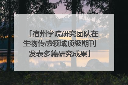 宿州学院研究团队在生物传感领域顶级期刊发表多篇研究成果