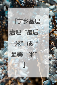 宁乡基层治理“最后一米”成“最美一米”