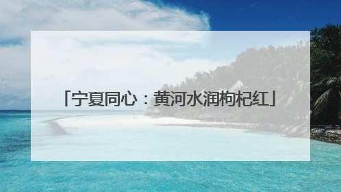 宁夏同心：黄河水润枸杞红