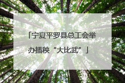 宁夏平罗县总工会举办插秧“大比武”