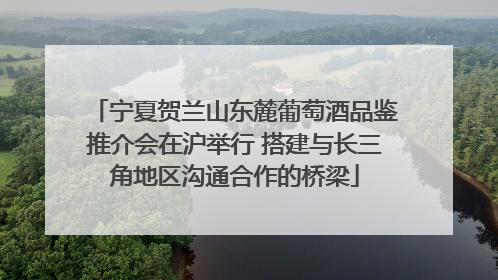 宁夏贺兰山东麓葡萄酒品鉴推介会在沪举行 搭建与长三角地区沟通合作的桥梁