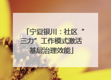 宁夏银川：社区“三力”工作模式激活基层治理效能
