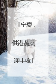 宁夏：供港蔬菜迎丰收