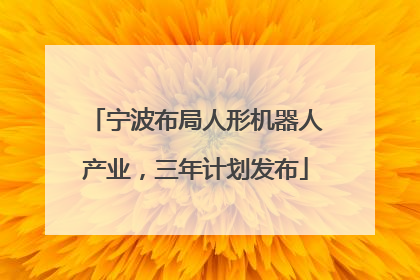 宁波布局人形机器人产业，三年计划发布