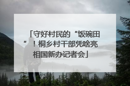 守好村民的“饭碗田”！桐乡村干部凭啥亮相国新办记者会