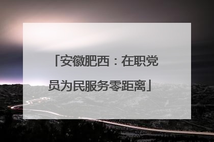安徽肥西：在职党员为民服务零距离