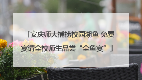 安庆师大捕捞校园湖鱼 免费宴请全校师生品尝“全鱼宴”