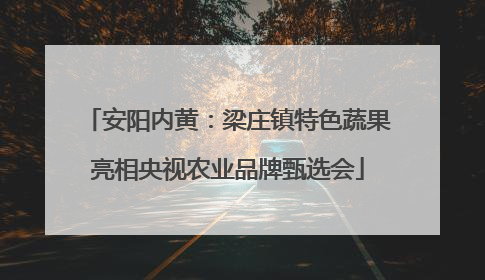 安阳内黄：梁庄镇特色蔬果亮相央视农业品牌甄选会